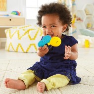 Baby Rattles & Toys (0-12mths)